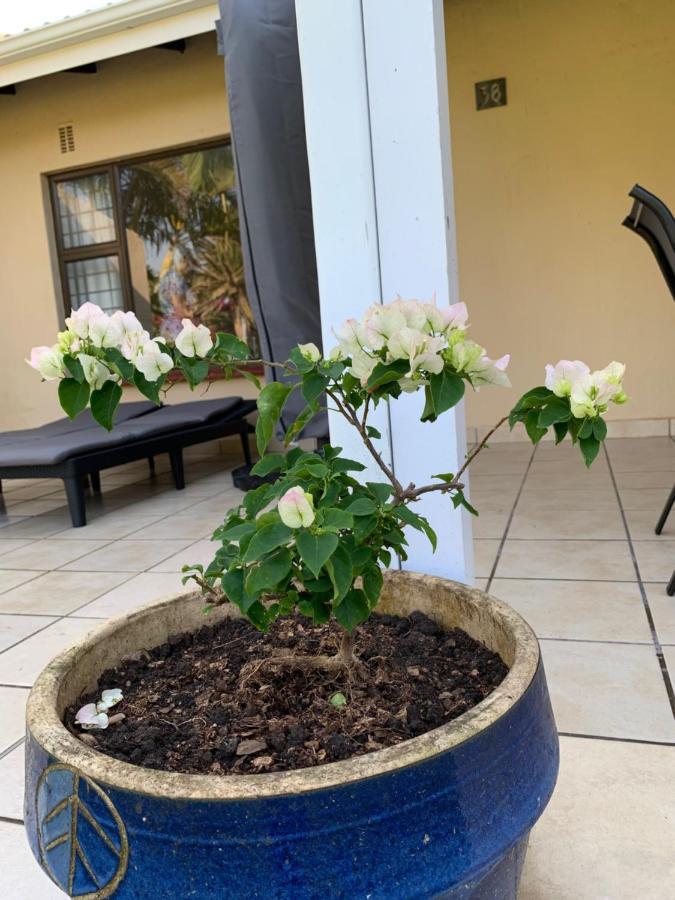 Sole'S Leap Scottburgh Exterior foto