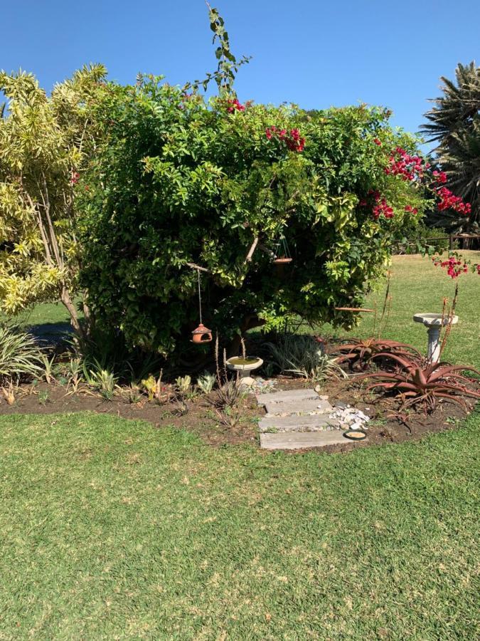 Sole'S Leap Scottburgh Exterior foto